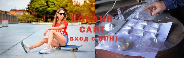 PSILOCYBIN Козловка