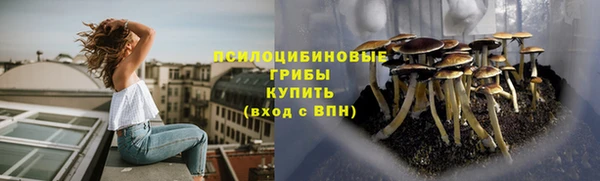 прущая мука Киреевск