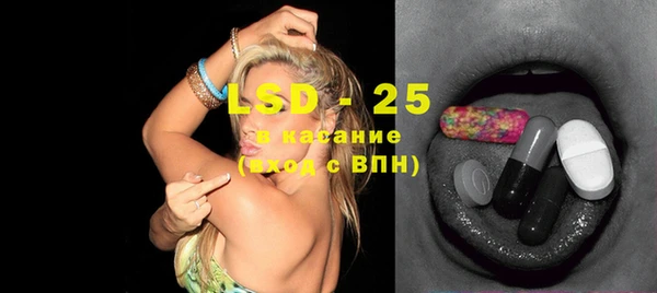 PSILOCYBIN Козловка