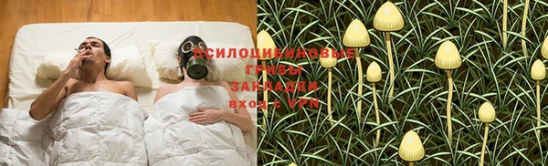 тгк Кинешма