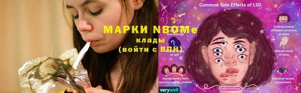 PSILOCYBIN Козловка