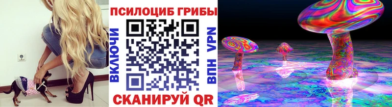 Псилоцибиновые грибы мицелий  МЕГА вход  Свободный 